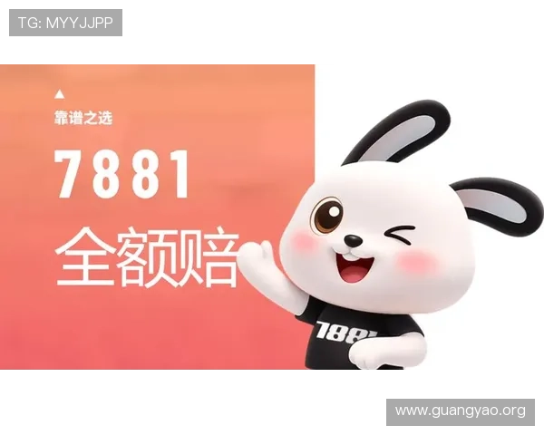 亚星国际登录入口安全保障措施，保障玩家个人信息和资金安全的详细介绍