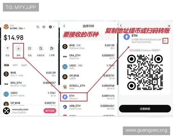 亚星登录娱乐平台怎么登录详细步骤指南帮助新手快速上手